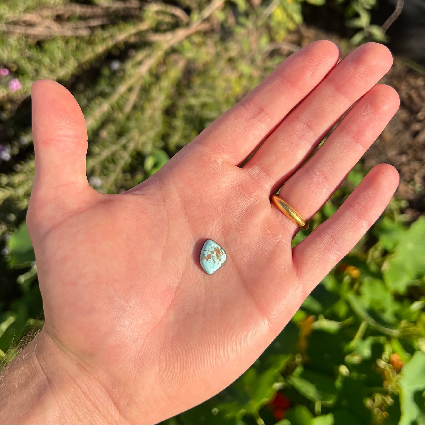 A loose, powder blue Dry Creek turquoise stone from Lander County, Nevada.