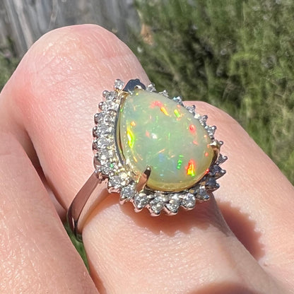 Close-up angled view of a white gold fire opal and diamond halo ring worn on a finger in direct sunlight.