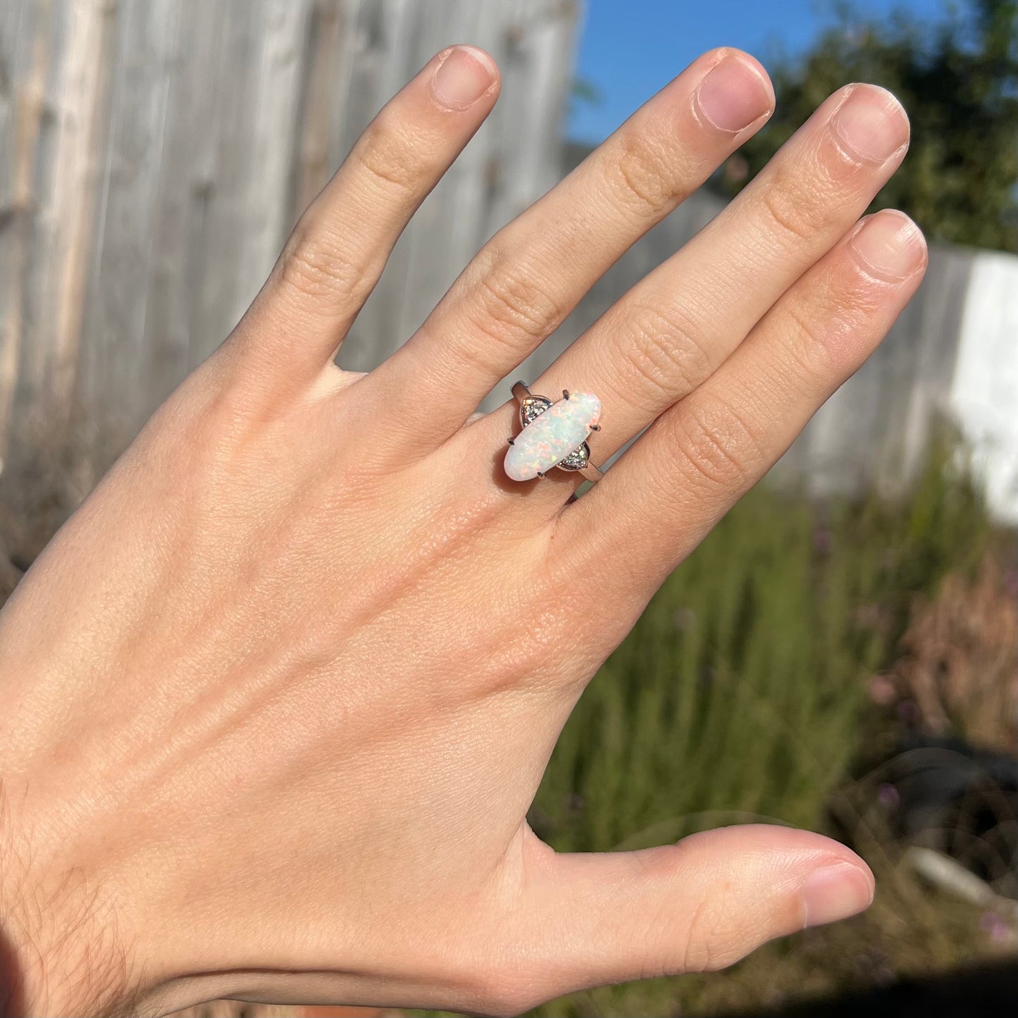 A Coober Pedy white opal platinum ring set with diamond accents.  The opal plays soft pink colors.