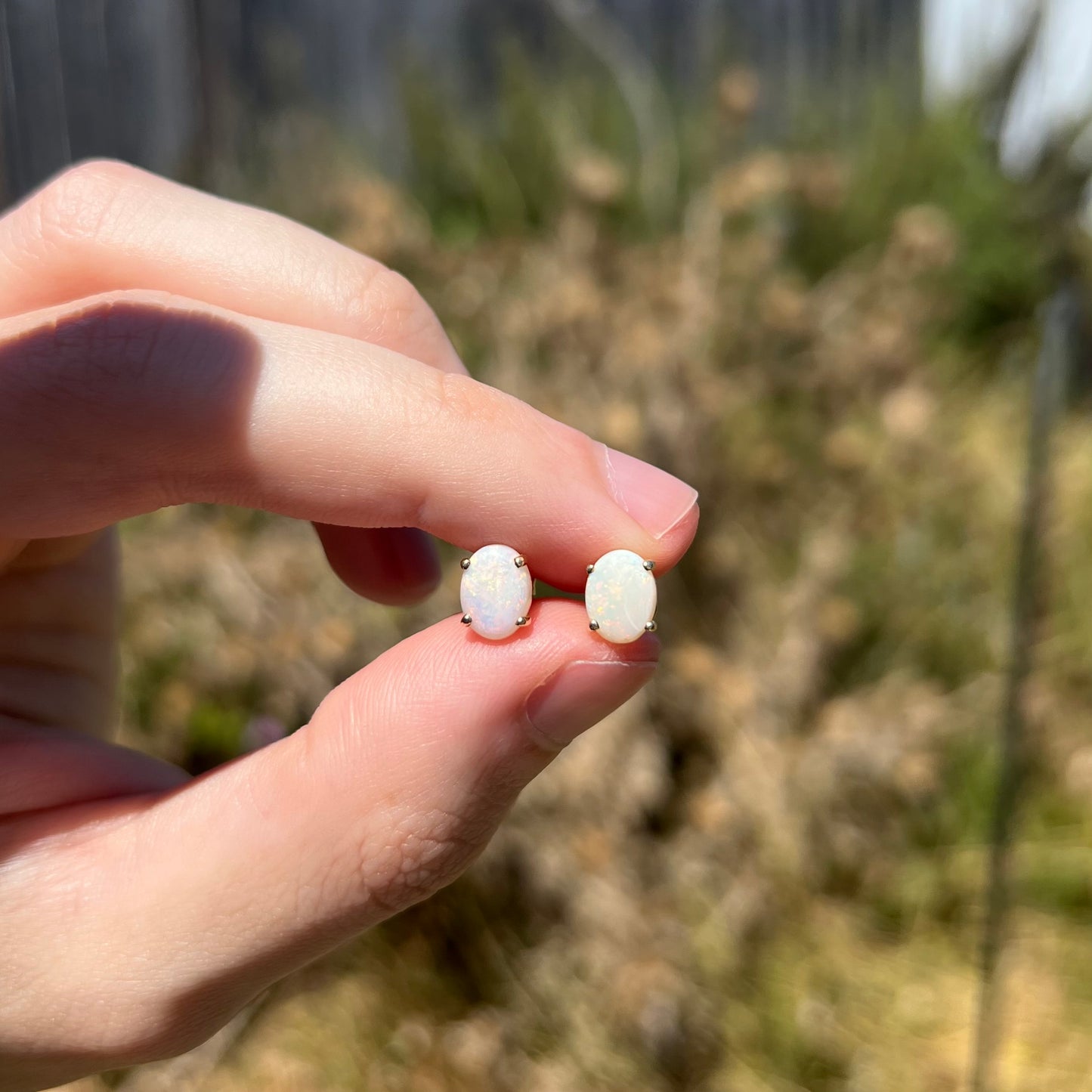 Women's opal stud earrings held in fingers in sunlight