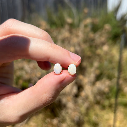 Women's opal stud earrings held in fingers in sunlight