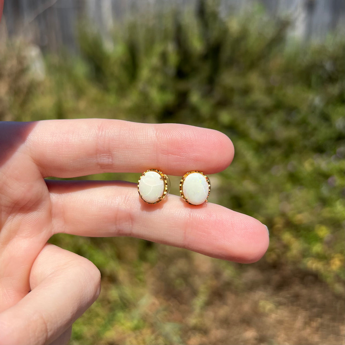 Pair of women's costume gold-plated oval-shaped opal stud earrings, held between fingers in sunlight